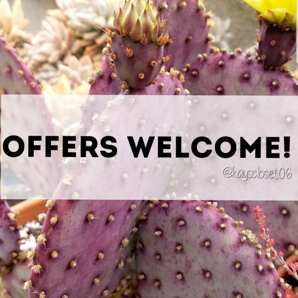 Offers welcome!